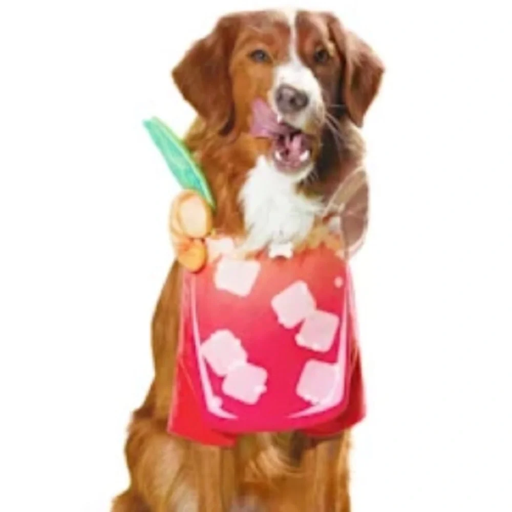 NWT Bloody Mary Halloween Dog Costume L
